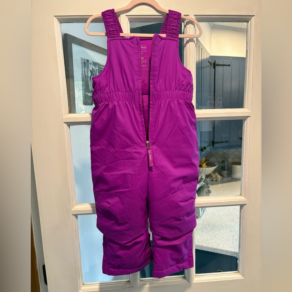 L.L. Bean Snowsuit in Vibrant Purple